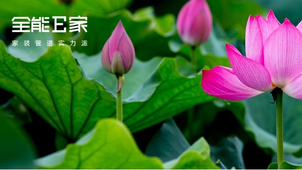 小暑至|暑意漸濃,盛夏將至 小暑至|暑意漸濃,盛夏將至
