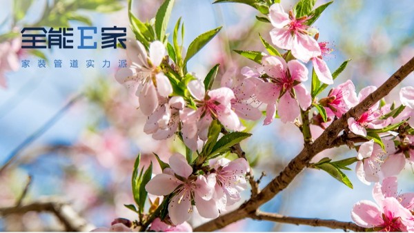 春分|春頌新生 萬物復蘇