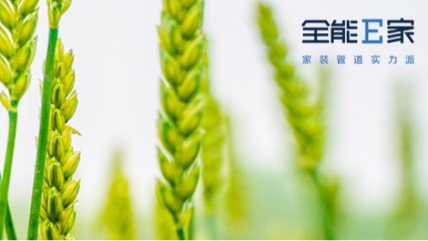 小滿|天逐熱，溫風(fēng)沐麥圓